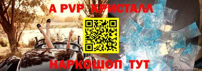 скорость Кингисепп