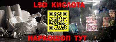 скорость Кингисепп