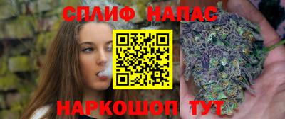СК Кинель