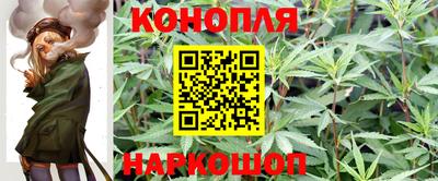 трава Кимры