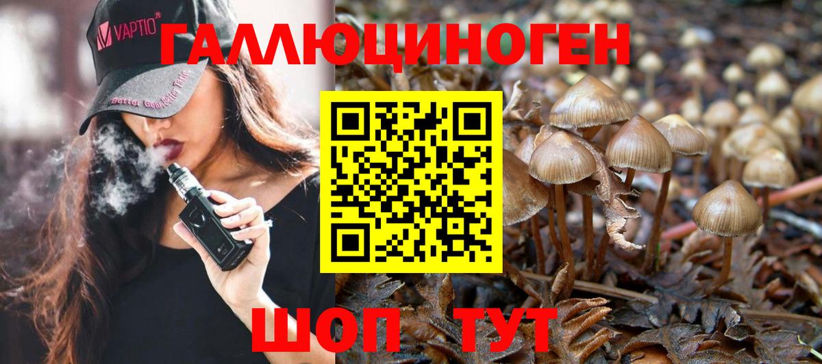Галлюциногенные грибы MAGIC MUSHROOMS Добрянка